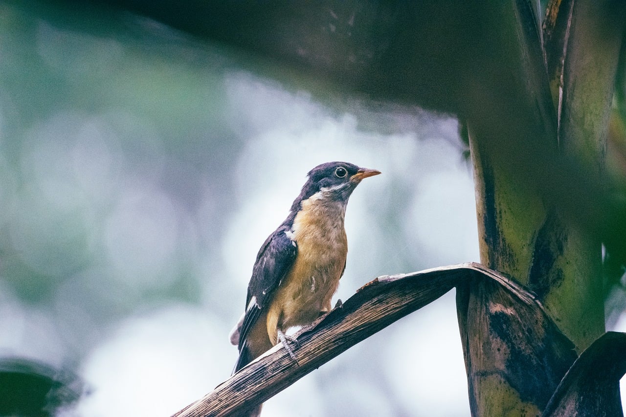 How to Master Best Crypto Betting App India 2027: Step-by-Step Guide for 2027